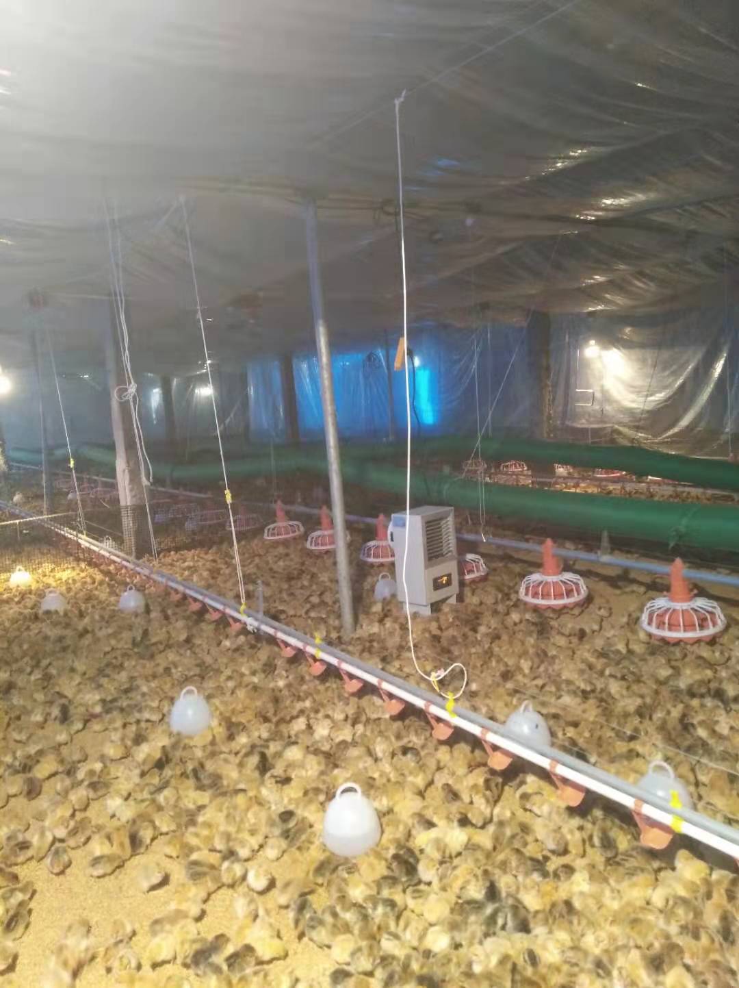 130_颜色分类：5KW#380V_2020-01-01_旭优旗舰店_ 追评图_1.jpg