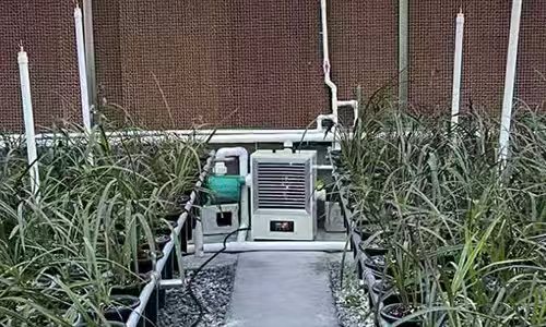 种植暖风机使用案例